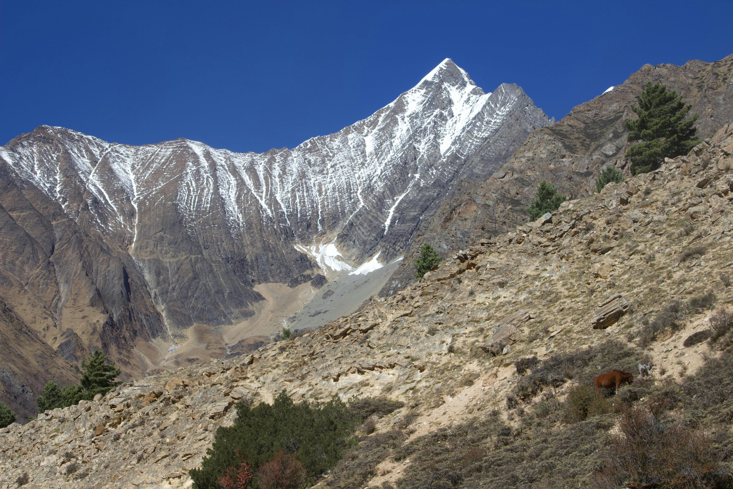 Dolpa Region